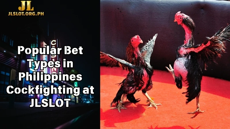 Popular Bet Types in Philippines Cockfighting at JLSLOT